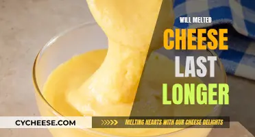 Cheese Conundrum: Melting for Longevity?