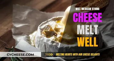 String Cheese Secrets: Melting Mexican Style