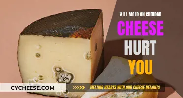 Can Mold on Cheddar Cheese Be Harmful?