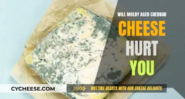 Is Moldy Cheddar Cheese a Health Hazard?