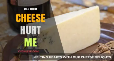 Moldy Cheese: Safe to Eat or Harmful to Your Health?