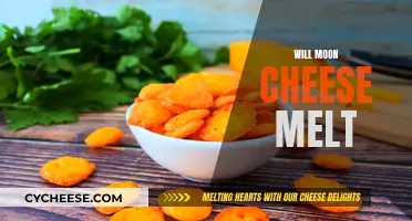Moon Cheese: Melting Mystery