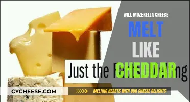 Mozzarella's Melting Mystery: Unraveling the Cheese Conundrum