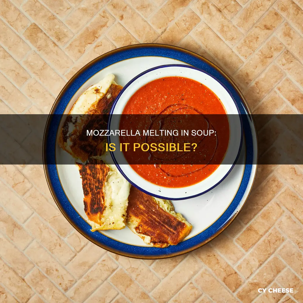 will mozzarella cheese melt in soup