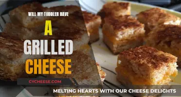 Grilled Cheese: A Toddler's Favorite?