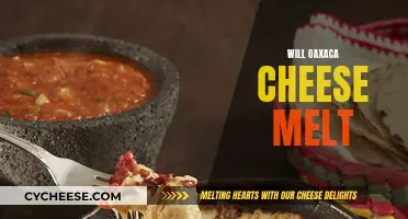 Oaxaca Cheese Melting: What's the Deal?