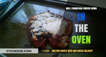 Oven-Baked Parmesan: Burn or No Burn?