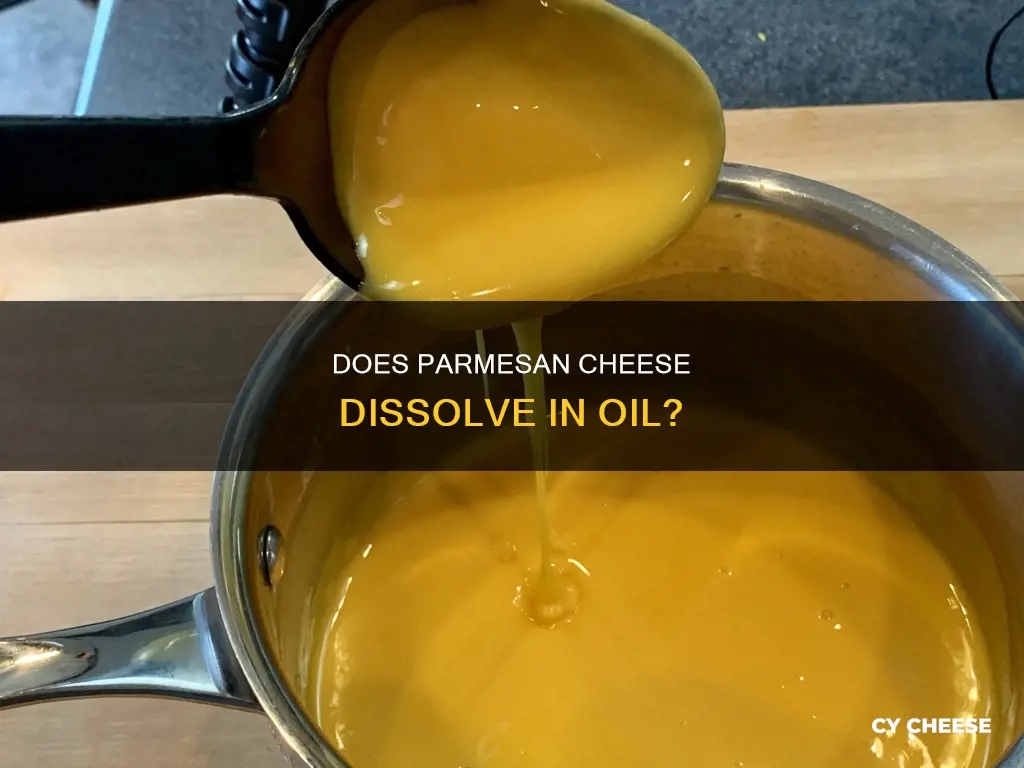 will parmesan cheese dissolve in oil