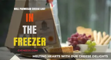 Freezing Parmesan: How Long Does it Last?