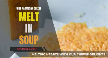 The Art of Melting Parmesan Cheese in Soups