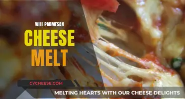 Melting Parmesan: The Art of Cheesy Deliciousness