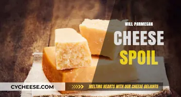 Parmesan Cheese: Does it Spoil?