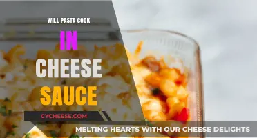 Cheese Sauce: Can You Cook Pasta in It?