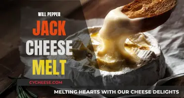 Jack Cheese Melting Secrets