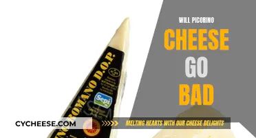 Picorino Cheese: How Long Does it Last?