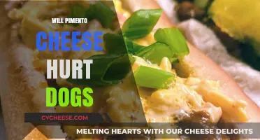 Can Dogs Eat Pimento Cheese? Safety Tips for Pet Owners