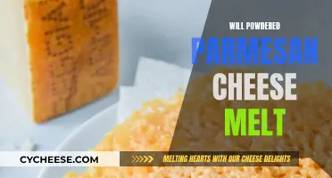 Parmesan Powder: Melting or Not?