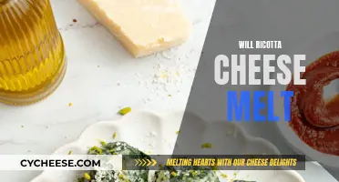 Ricotta Cheese Melting: A Quick Guide to Melting Ricotta