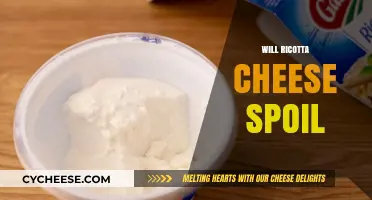 Does Ricotta Cheese Go Bad? Shelf Life and Storage Tips
