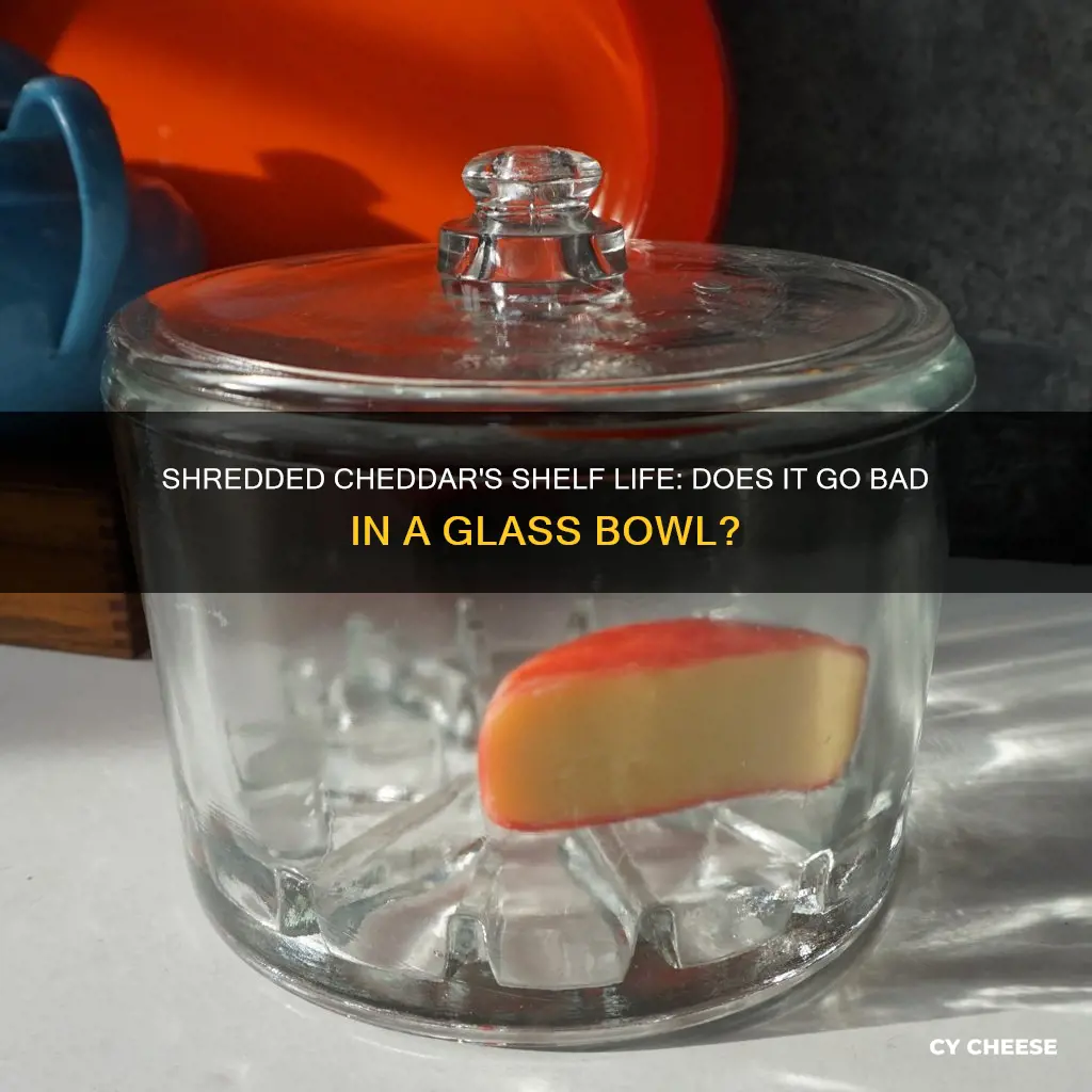 will shredded cheddar cheese ruin in a glass bowl