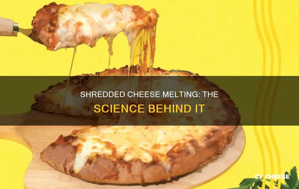 will shredded cheese melt