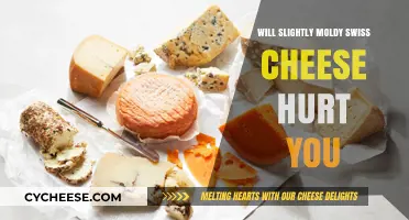 Moldy Swiss Cheese: Is It Safe to Eat?