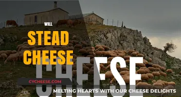 Exploring the Rich History and Flavor of Will Stead Cheese