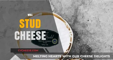 Discover the Rich Flavor and Uses of Will Stud Cheese Today