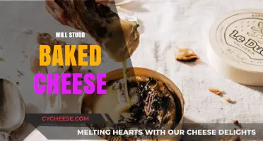 Will Studd's Baked Cheese: A Gourmet's Guide to Perfect Melting