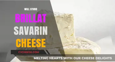 Will Studd's Brillat-Savarin Cheese: A Creamy Indulgence Explored