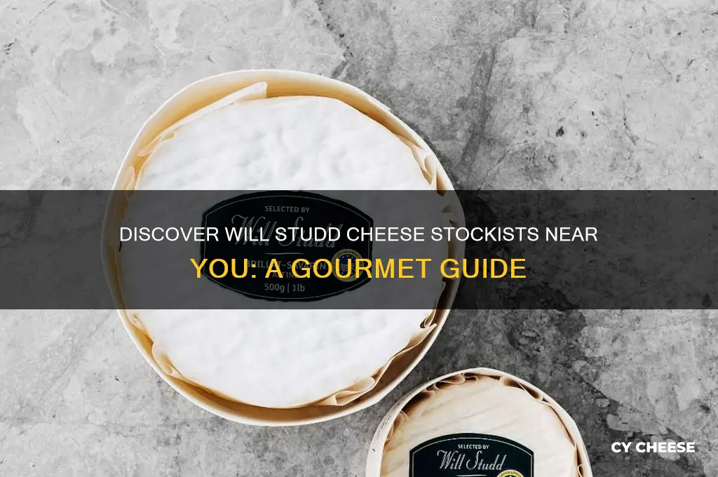 will studd cheese stockists