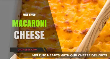 Macaroni Cheese: Will Studd's Ultimate Comfort Food