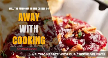 Cooking Brie: Does Ammonia Odor Disappear?