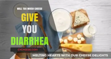 Can Excessive Cheese Consumption Lead to Diarrhea? Find Out Here