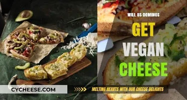Vegan Cheese: What's Next for Domino's USA?
