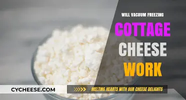 Vacuum Freezing Cottage Cheese: Effective Preservation Method or Recipe for Disaster?