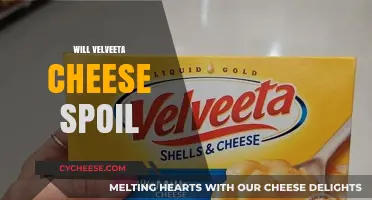 Does Velveeta Cheese Go Bad? Shelf Life and Storage Tips