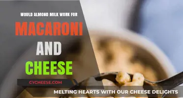 Almond Milk Mac and Cheese: A Tasty Twist?