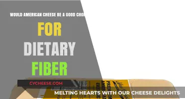 American Cheese and Fiber: A Surprising Dietary Choice?