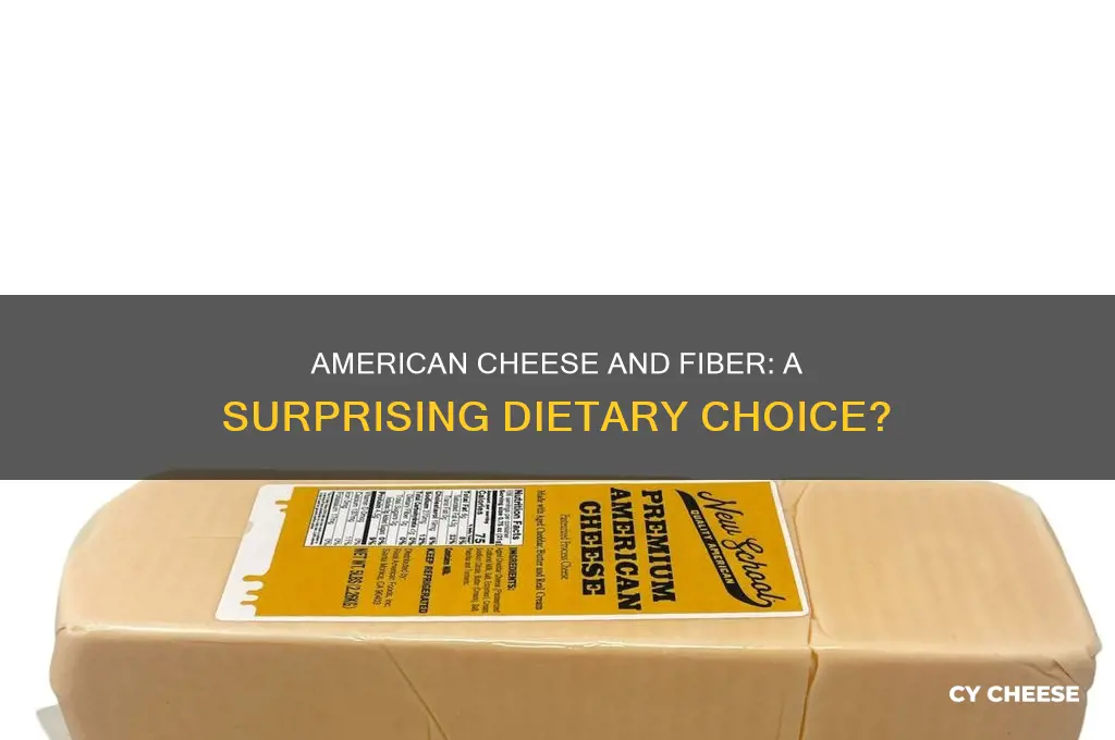 would american cheese be a good choice for dietary fiber