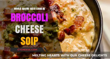 Bacon in Broccoli Cheese Soup: A Flavorful Twist Worth Trying?