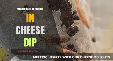 Cheese Dip: A Bug Trap?