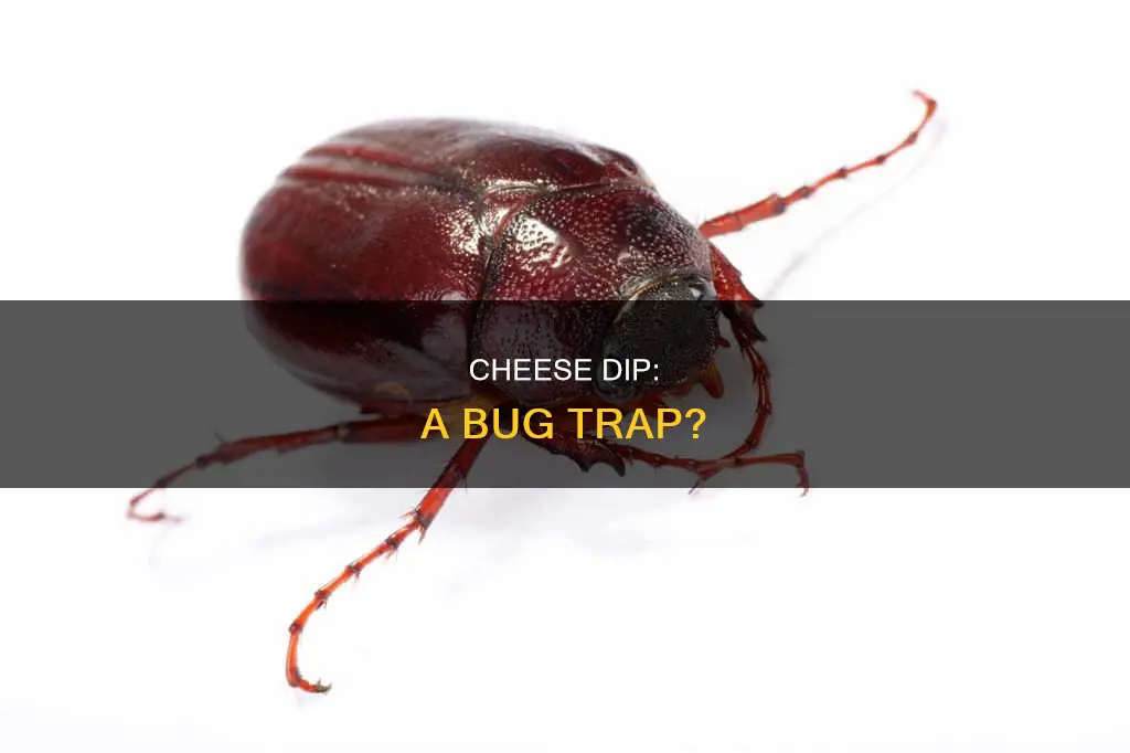 would bugs get stuck in cheese dip