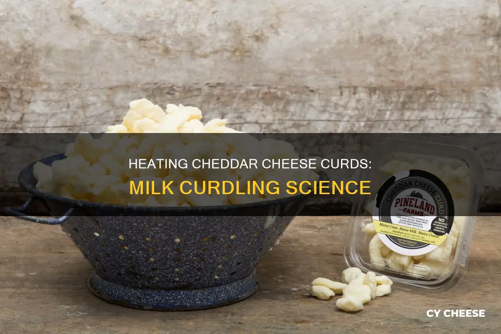 would cheddar cheese curdle milk when heated