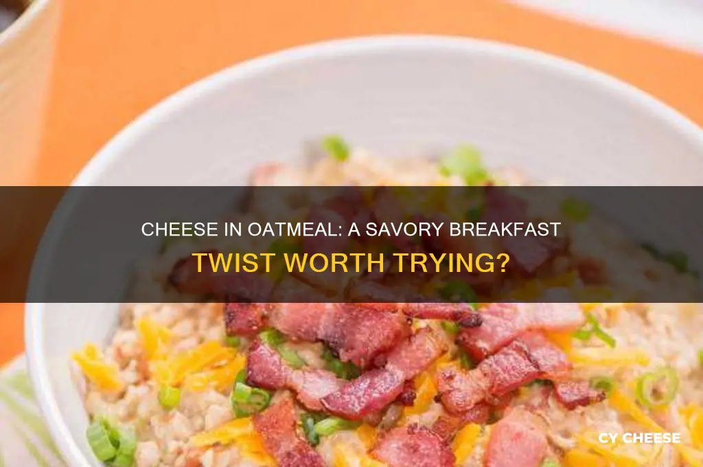 would cheese be good in oatmeal
