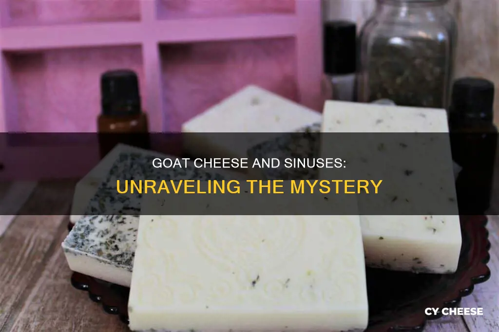 would goat cheese give sinus problem