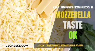 Cheesy Lasagna Fusion: Cheddar & Mozzarella Delight or Disaster?