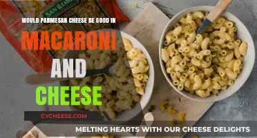 Parmesan in Mac and Cheese: A Tasty Twist or Miss?
