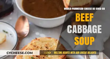 Parmesan Cheese on Beef Cabbage Soup: A Flavorful Twist?