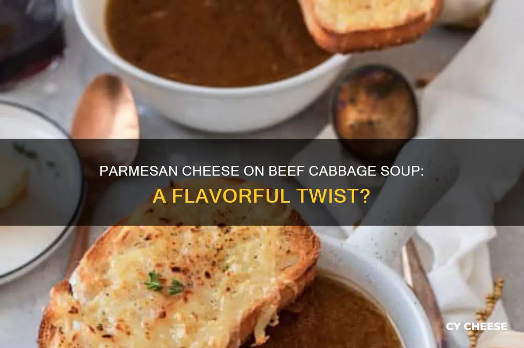 would parmesan cheese be good on beef cabbage soup